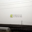 덕진농장 2농장 이미지