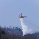 대원1리 이미지