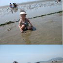 민등농장 Daum카페
