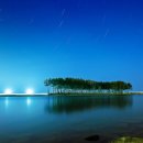 The Silence 이미지