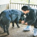 산우리축산 이미지