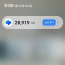 [일본] 요나고 돗토리 마쓰에 여행기 4탄 : 야르한 다이센산 등정 후기