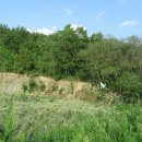 청통면사무소 이미지