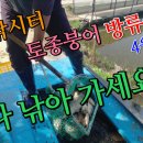 마정낚시터 이미지
