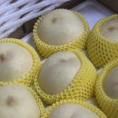 GS25 전대빛고을점 | 억지블챌 레쭈고 2탄