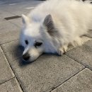 브라운도트호텔 울산KTX점 이미지