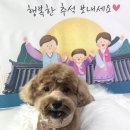 비비펫살롱 이미지