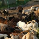 홍우농장 이미지