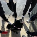 한국체육관 이미지