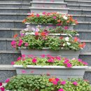 우리가 가꾸는 꽃길 이미지