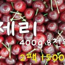 과일애 이미지