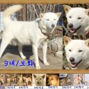 보화 이미지