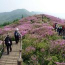 한마루약국 이미지