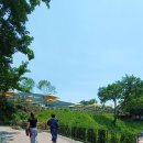 닭이봉원조춘천닭갈비 이미지