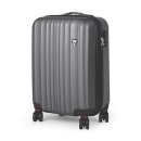 아놀드바시니 이미지