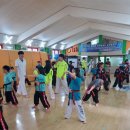 용인대선일태권도장 이미지