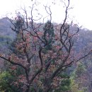 백양주유소 이미지