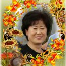 개인(강정숙) Daum카페