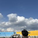 (주)슬기로운늑대 | 0329~0330 3월의 마지막 주말에 슬기로운 일상생활