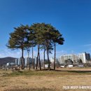 황룡친수공원 이미지