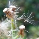 수변공원(1) 이미지