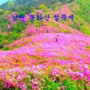 장수읍 싸리재로 Daum카페