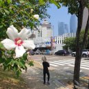 민락동 민락수변공원 어린이공원 이미지