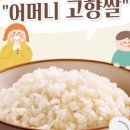 북신안농협미곡종합처리장 네이버블로그