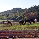 상하농장 이미지