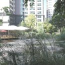 신반포로16길1-8 이미지