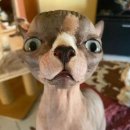 행복한 환경 이미지