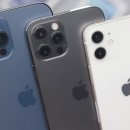 애플apple 이미지