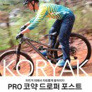 주식회사 위라이드 이미지