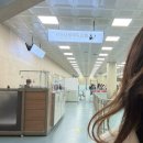 유니버샬항공여행사㈜ | 김해공항 임산부 혜택 정리 및 이용후기