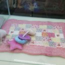 소미애견 농장 이미지