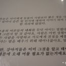 똥개애견 이미지