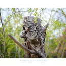 이목농원 이미지