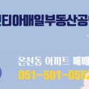 이리스공인중개사사무소 이미지