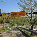 교통광장 이미지