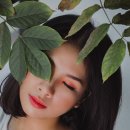 동백장모텔 이미지