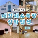 신화펜션 | [대천해수욕장가성비숙소] 보령머드축제 대천해수욕장펜션추천 신화펜션 주차 및 후기