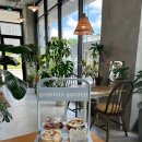 씨유원주능마루길점 | 내 맘대로 리뷰] 강원도 원주시 기업도시 플라워 카페...이사 선물 그리민가든 가성비 맛집 내돈내산 후기