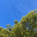 목계성황당 이미지