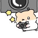 미육관미트갤러리