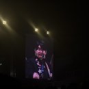 미세스도나 이미지