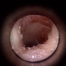 오산동물병원 이미지