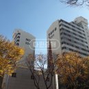 유천일번지 공인중개사사무소 | 옵션이 어마어마한 전세매물을 소개합니다. 청솔유천화인(청솔마을2단지유천화인) 31평