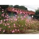 마장1리 마을회관 이미지