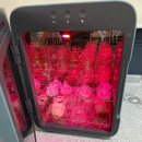 춘천씨엘로키즈독채풀빌라 이미지