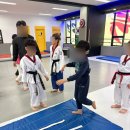 용인대류태권도장